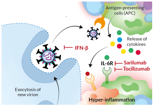 MODULE SINH LÝ BỆNH (HMTU)