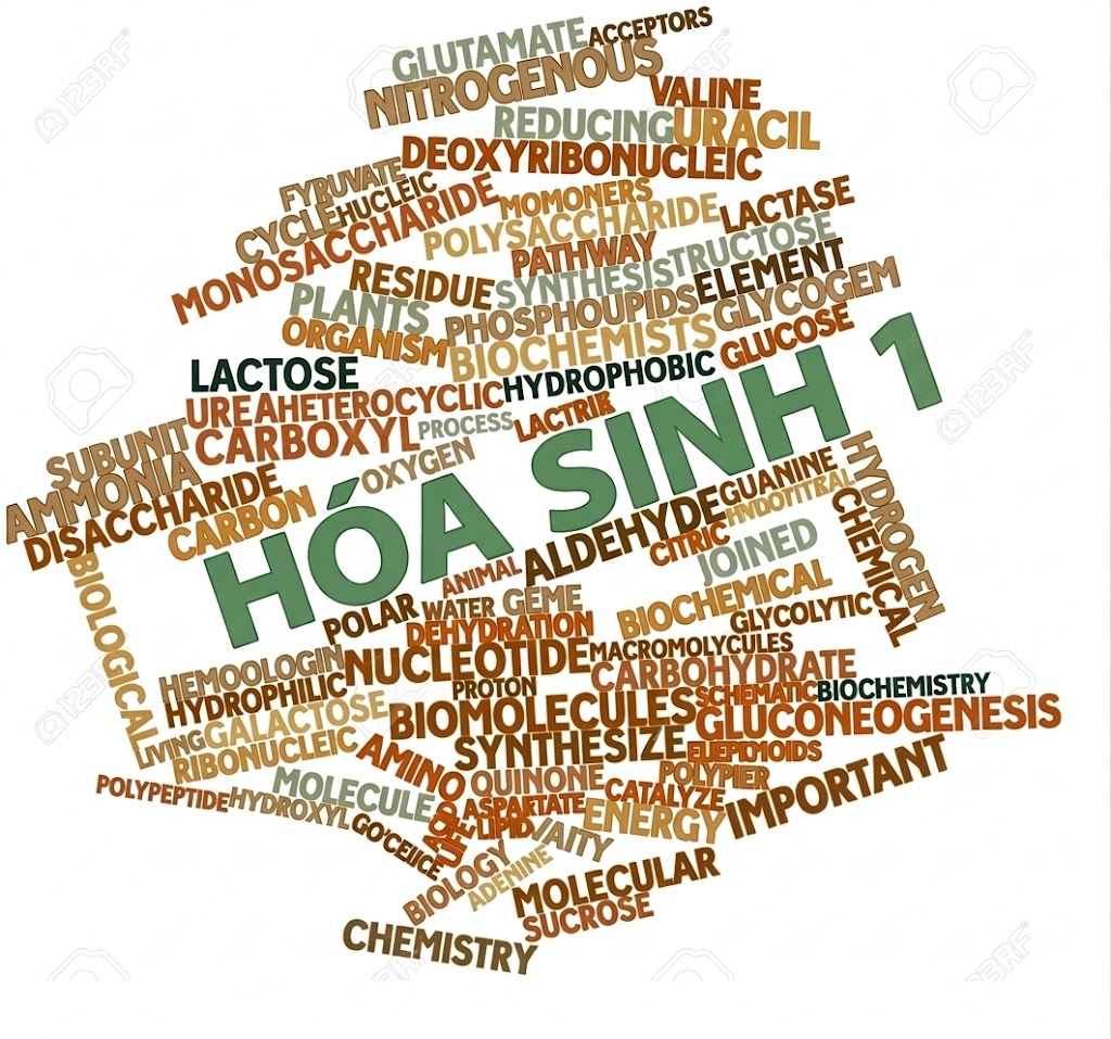 Hóa sinh 1: Hóa sinh cấu tạo và chuyển hóa chất