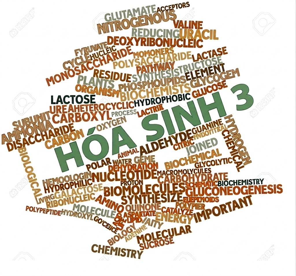 Hóa sinh 3: Hóa sinh lâm sàng