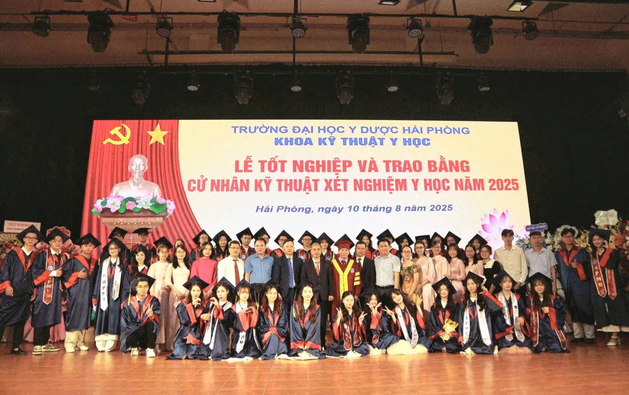 Tổng hợp kiến thức chuyên môn/khóa luận tốt nghiệp